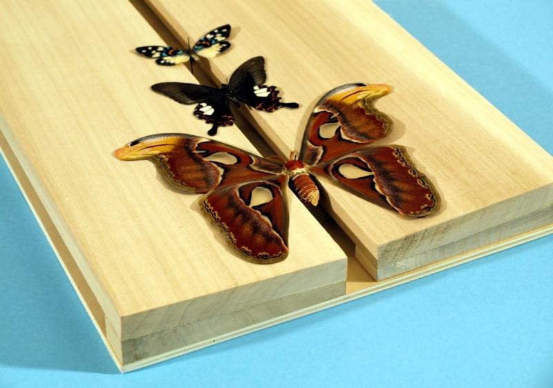 Spannbretter, verstellbar (Adjustable spreading boards)