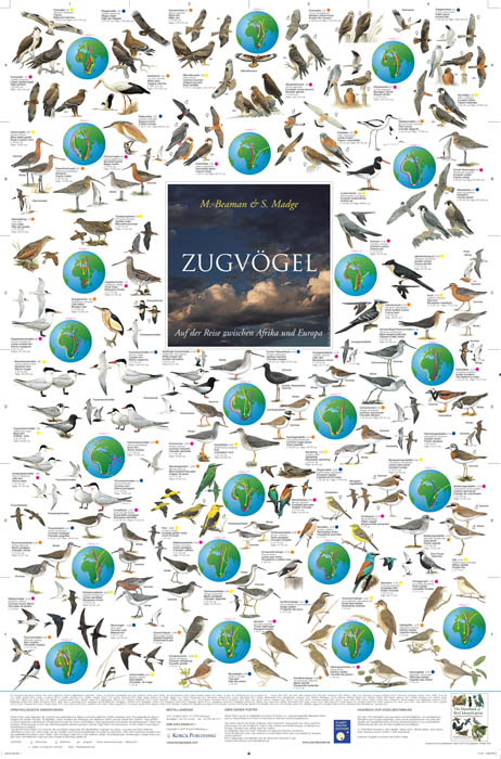 Zugvögel auf der Reise zwischen Afrika und Europa
