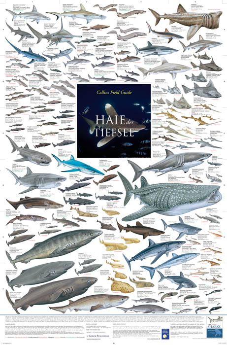 Fische der Tiefsee