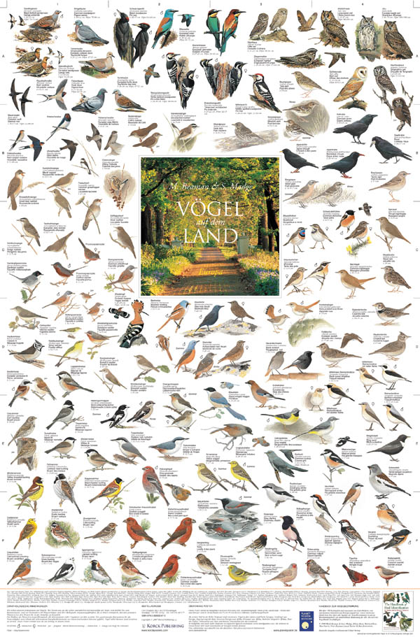 Vögel auf dem Land - Europa